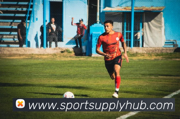 球赛投注平台生态图